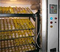 Egg Incubator