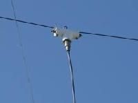 Dipole Antenna