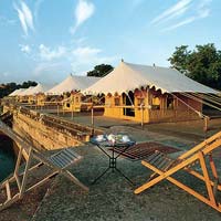 Luxury Resort Tents