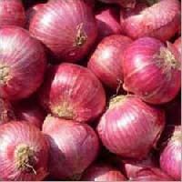 Red Onion