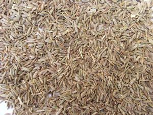 Cumin Seeds