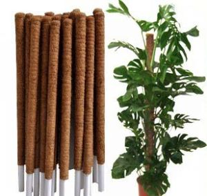 Coir Poles