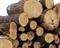 Hardwood Logs