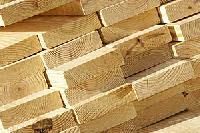 Softwood