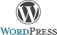 Wordpress Customization Services