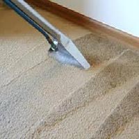 Carpet Washing Services