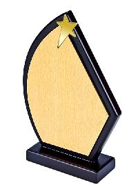 Wooden Trophy