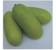 Hybrid Wax Gourd Seeds