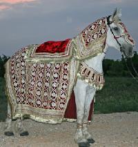 Wedding Horse Costume Clothing