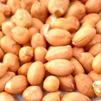 Groundnut Kernels