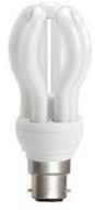 Compact Fluorescent Lamp