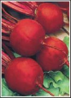 Beet Root (Open Pollinated) Products