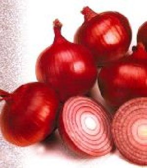 Super Selection Onion Seed