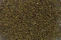 Sesbania Seed