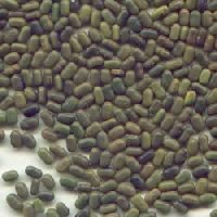 Sesbania Seeds