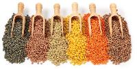 Organic Pulses