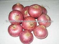 Red Onion