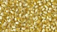 yellow sweet corn seed