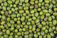 Green Mung Beans