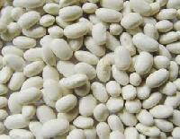 Beans Extract - Phaseolus Vulgaris