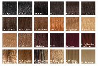 Human Hair Color Chart