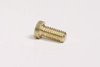 Brass Screw