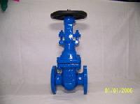 gate valve flanged