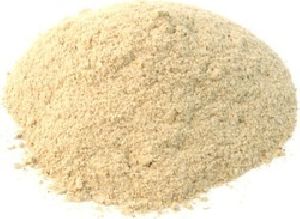 oyster dry mushroom Powder