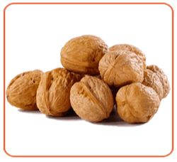 Altaj Walnuts