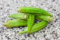 Fresh Okra