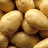 Potato