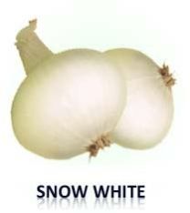 Snow White Onion Seed