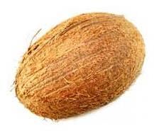 Coconut