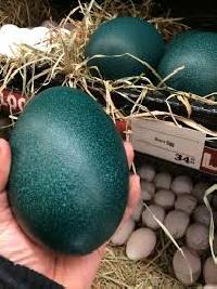 Emu Eggs