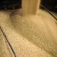 Soybean Meal