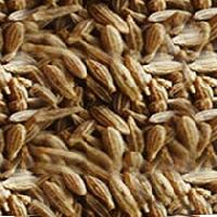 Cumin Seeds