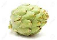 fresh globe artichoke