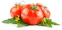 Lycopene