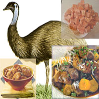 Emu Meat
