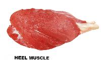 Buffalo Heel Muscle