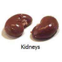 Buffalo Kidneys