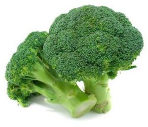 Broccoli