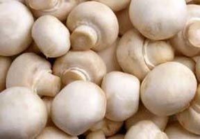 Button Mushrooms