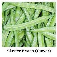 Fresh Cluster Beans