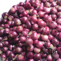 Krishnapuram Onions