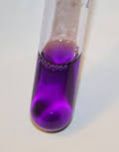 Crystal Violet IP