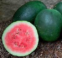 organic watermelon