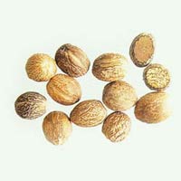 Nutmeg Seed