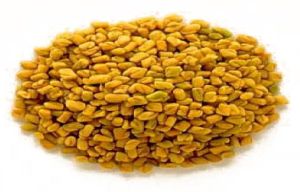 Fenugreek Seeds