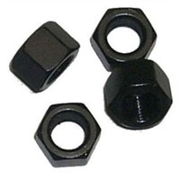 Hex Nut